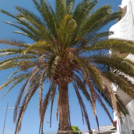 Sweet House Puerto Rico (Gran Canaria)